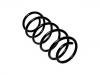 Coil Spring:312711