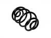 Coil Spring:424319