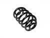 Coil Spring:424 329