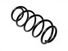 Fahrwerksfeder Coil Spring:312839