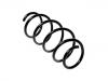 Fahrwerksfeder Coil Spring:312204