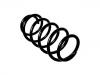 Coil Spring:90512021