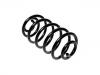 Fahrwerksfeder Coil Spring:424203