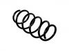 Coil Spring:312171