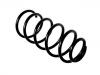 Fahrwerksfeder Coil Spring:1H0 411 105 C