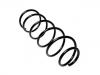 Fahrwerksfeder Coil Spring:5002.R7