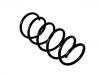 Coil Spring:8450115