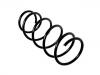 Coil Spring:8455271