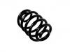 Coil Spring:4272924