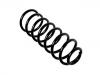 Coil Spring:4295028