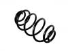 Coil Spring:9118380