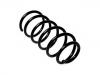 Muelle de chasis Coil Spring:6K0 411 105 P