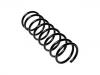 Coil Spring:1 041 537