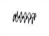 Muelle de chasis Coil Spring:51401-S10-A31