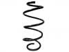 Coil Spring:51401-SAG-C01