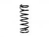 Coil Spring:55020-06J00