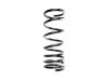 Coil Spring:55020-VB102