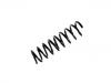 Coil Spring:202 321 19 04