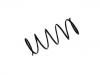 Fahrwerksfeder Coil Spring:5002.X8