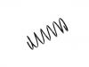 Fahrwerksfeder Coil Spring:5002.P6