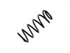 Coil Spring:54010-03J00