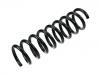 Coil Spring:202 321 01 04