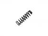 Coil Spring:48131-6A870