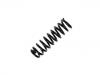 Coil Spring:48131-6B020