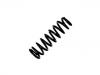 Coil Spring:48131-6A890