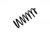 Coil Spring:48231-6A820