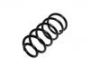 Coil Spring:7782343