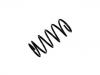 Ressort hélicoidal Coil Spring:48231-87406-000