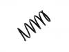 Coil Spring:48131-87405-000