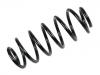 Coil Spring:48231-12A50