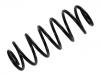 Coil Spring:MR977617