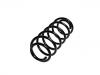 Coil Spring:454 324 0704