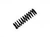 Coil Spring:JLM 12163