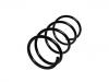 Coil Spring:4040A041