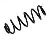 Coil Spring:41311-62J00