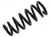 Coil Spring:MN125251