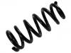 Coil Spring:4040A068