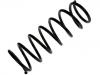 Coil Spring:MR272082