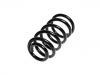 Coil Spring:60617395