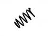 Coil Spring:60601072