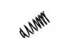 Coil Spring:60630301