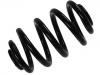 Coil Spring:33 53 3 413 081