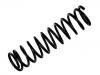 Muelle de chasis Coil Spring:2110-2912712