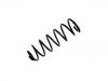 Coil Spring:1493742080