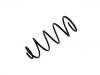 Coil Spring:1494503080