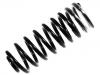 Coil Spring:191 511 115 P